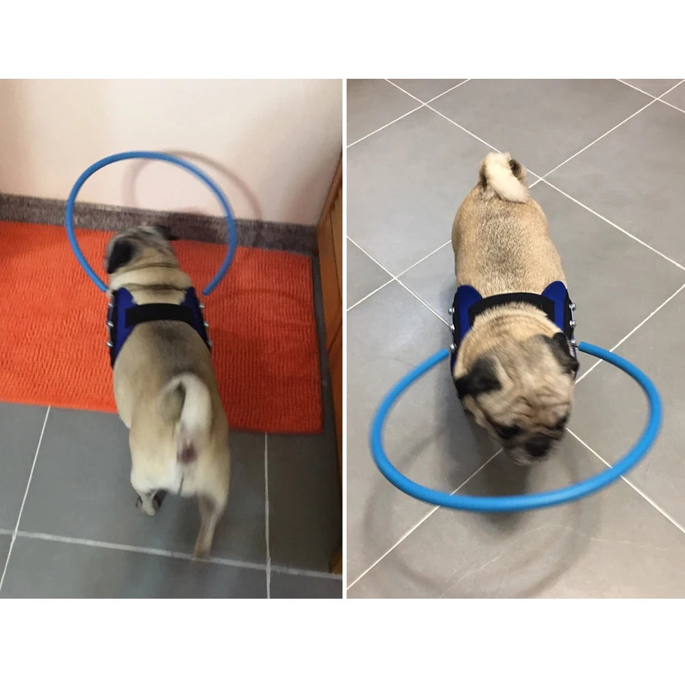 Anti-collision collar for blind pets