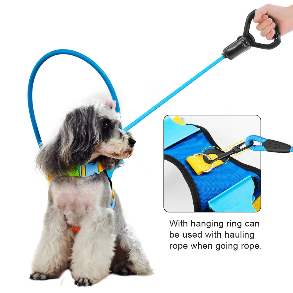 Anti-collision collar for blind pets