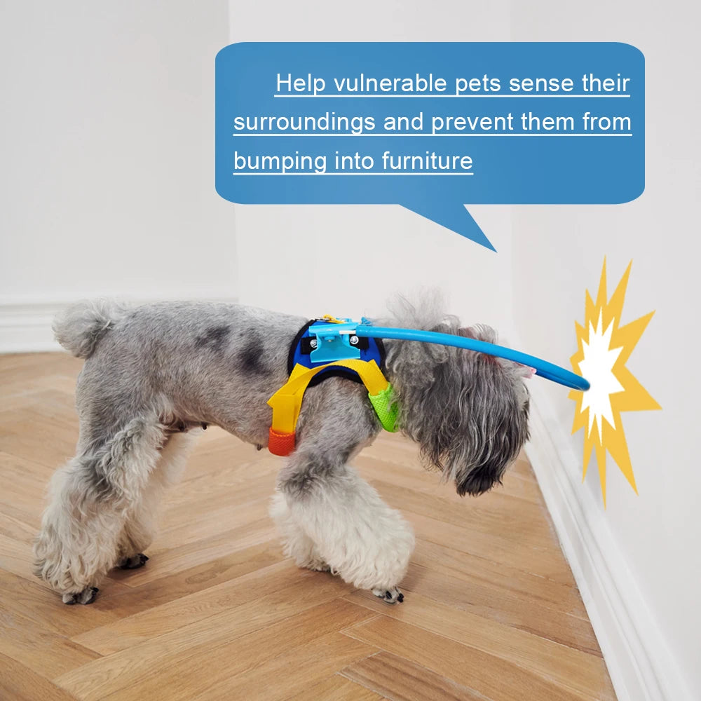 Anti-collision collar for blind pets