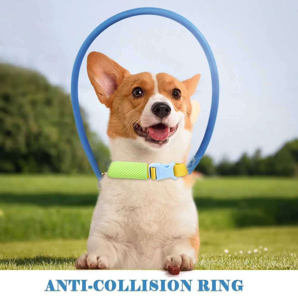 Anti-collision collar for blind pets