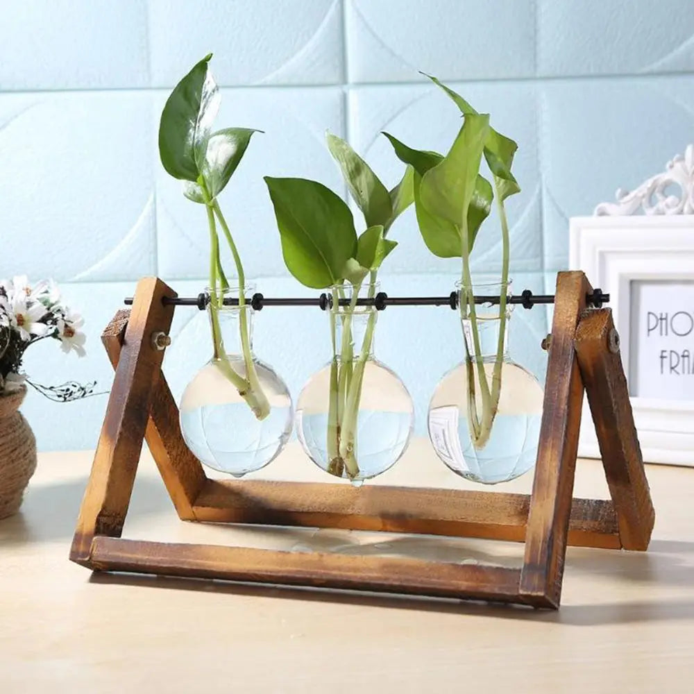 Flower Vase with Wooden Frame