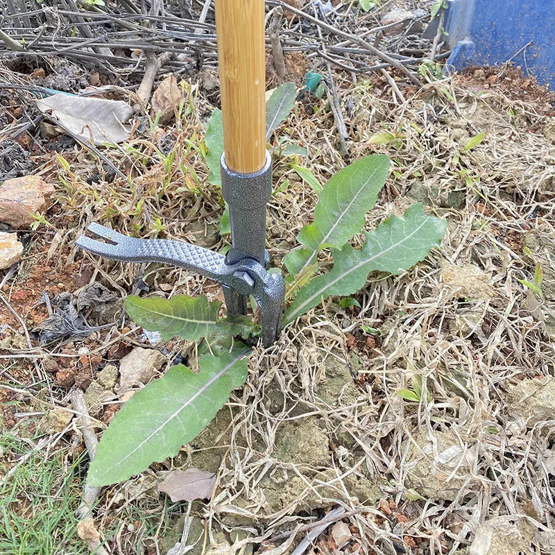Stand Up Weed Puller Tool