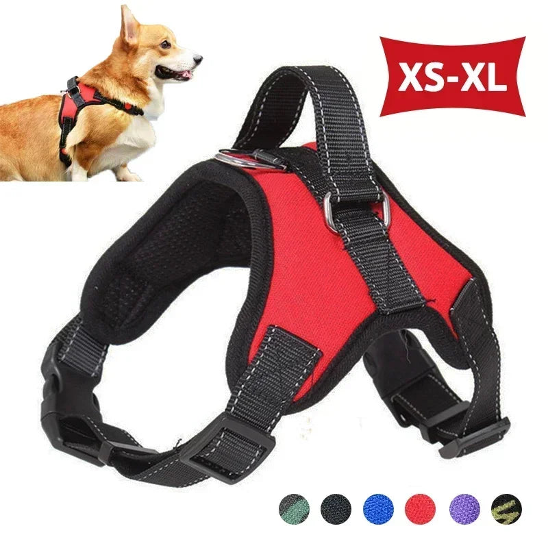 Dog saddle with adjustable and reflective chest