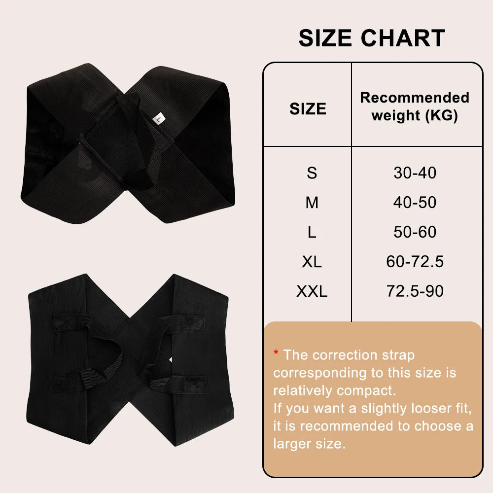 Back posture corrector