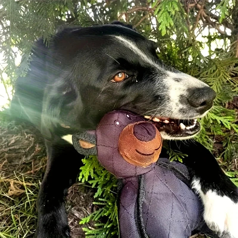 Mighty Bear indestructible