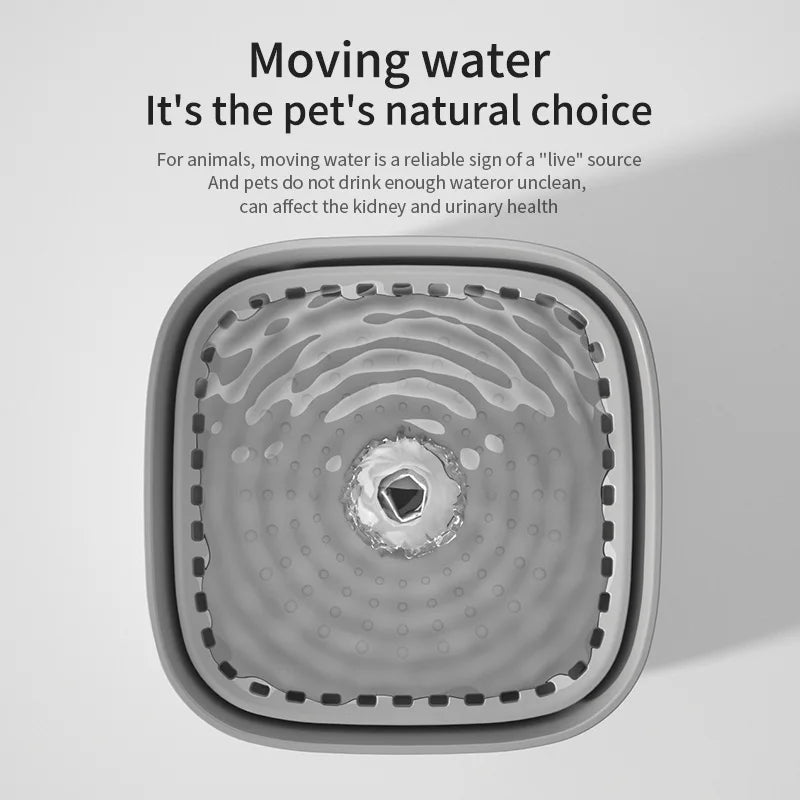 Automatic pet waterer with filter