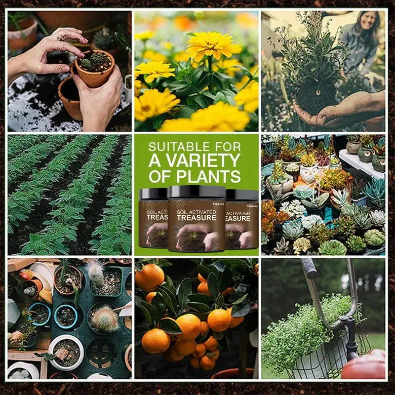 Organic Potting Soil Fully Loaded with Nutrients