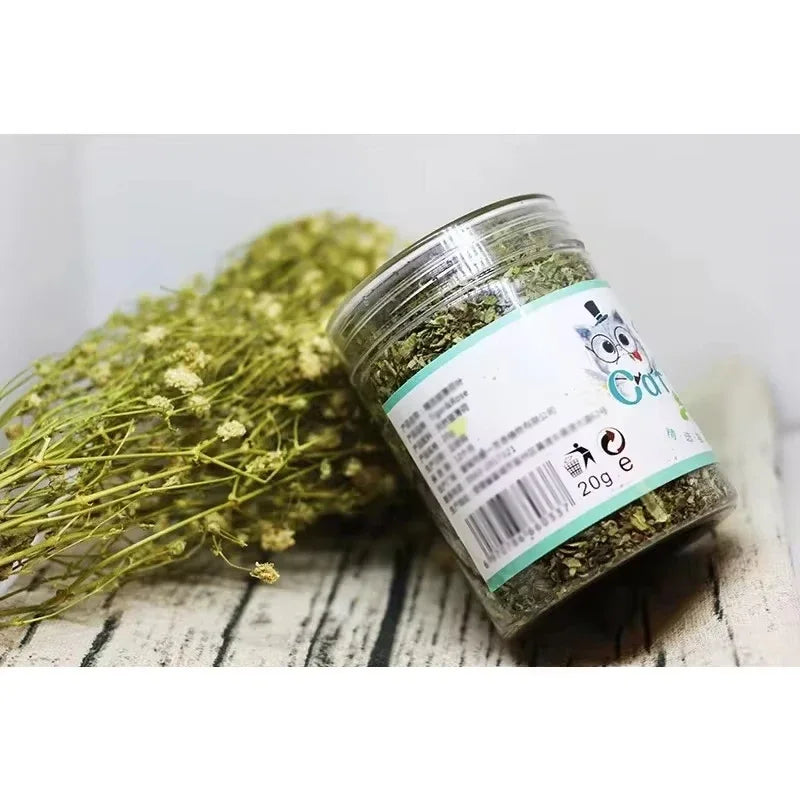 Catnip and mint flavor