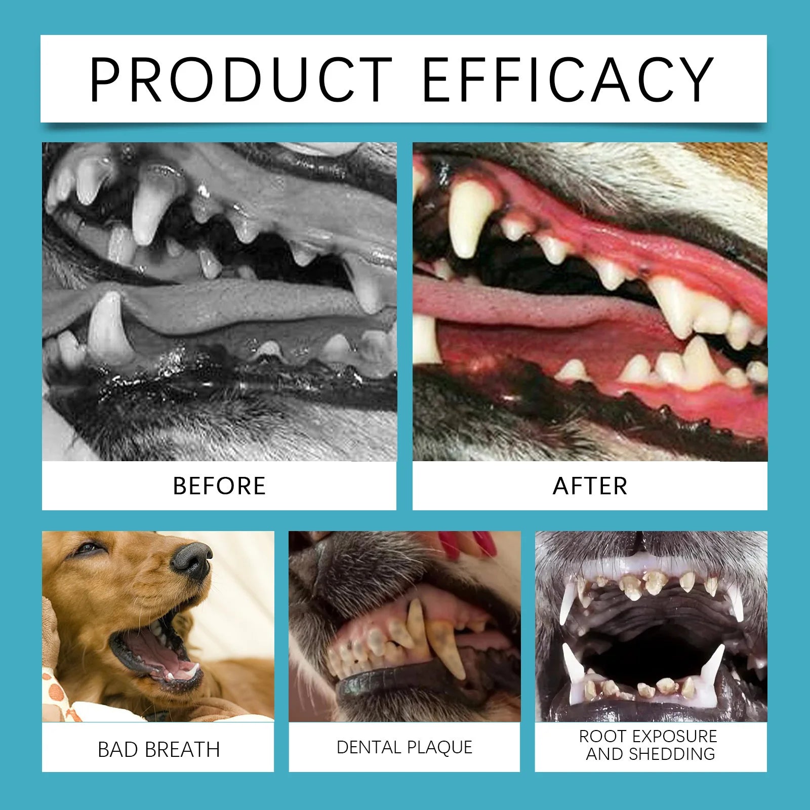 Pet Oral Care Gel