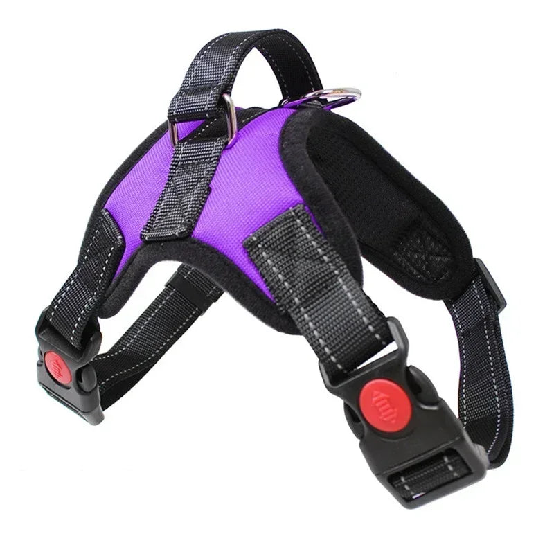 Dog saddle with adjustable and reflective chest